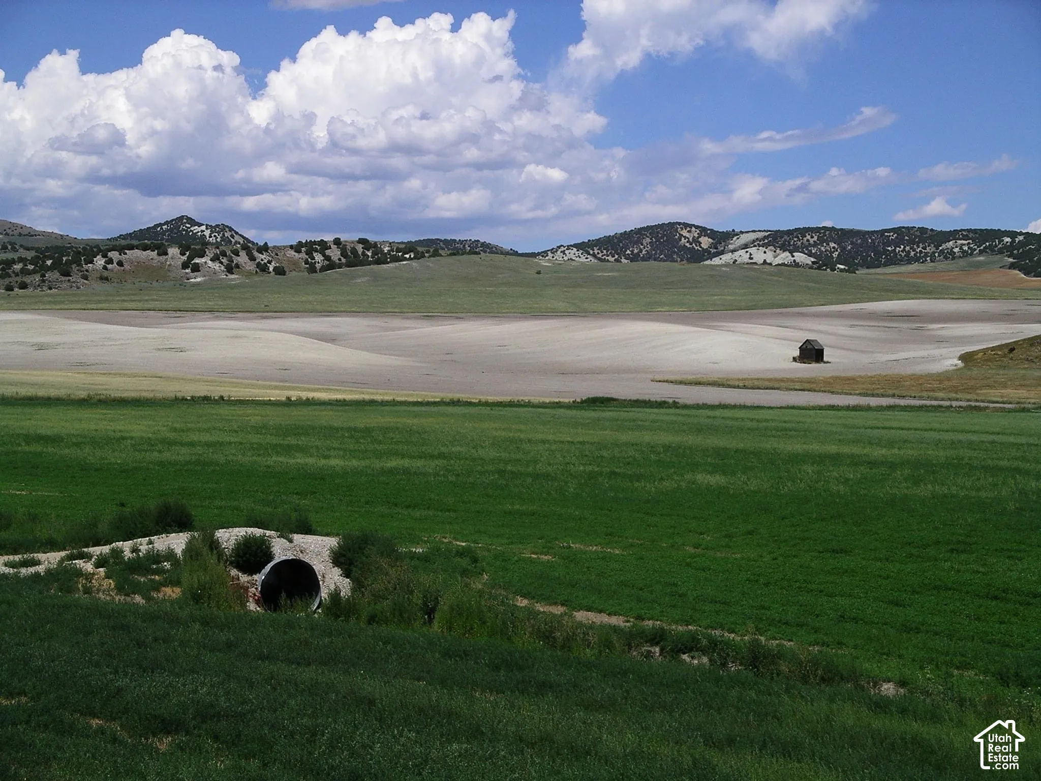 Expansive green fields extending towards distant hills under a blue sky with white clouds