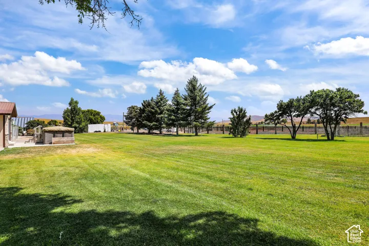Expansive green lawn with mature evergreen trees and additional deciduous trees