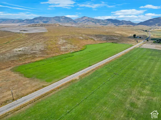 Expansive green fields bordering a paved road, set against a backdrop of distant mountains