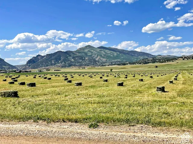 Expansive agricultural field with cut hay bales, surrounded by distant mountains and a gravel road