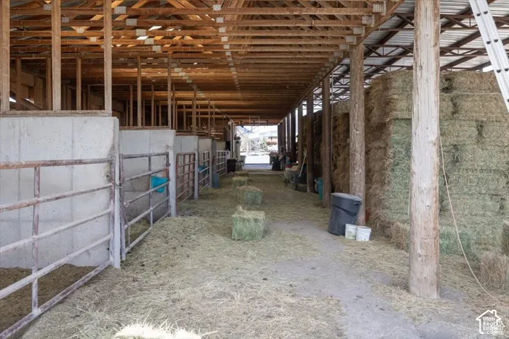 Barn interior featuring multiple stalls with concrete bases and metal gates, exposed wood beam ceiling, and ample storage space