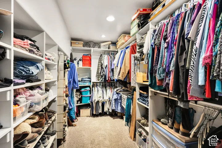 Spacious walk-in closet featuring extensive built-in shelving, multiple hanging rods, recessed lighting, and carpet flooring