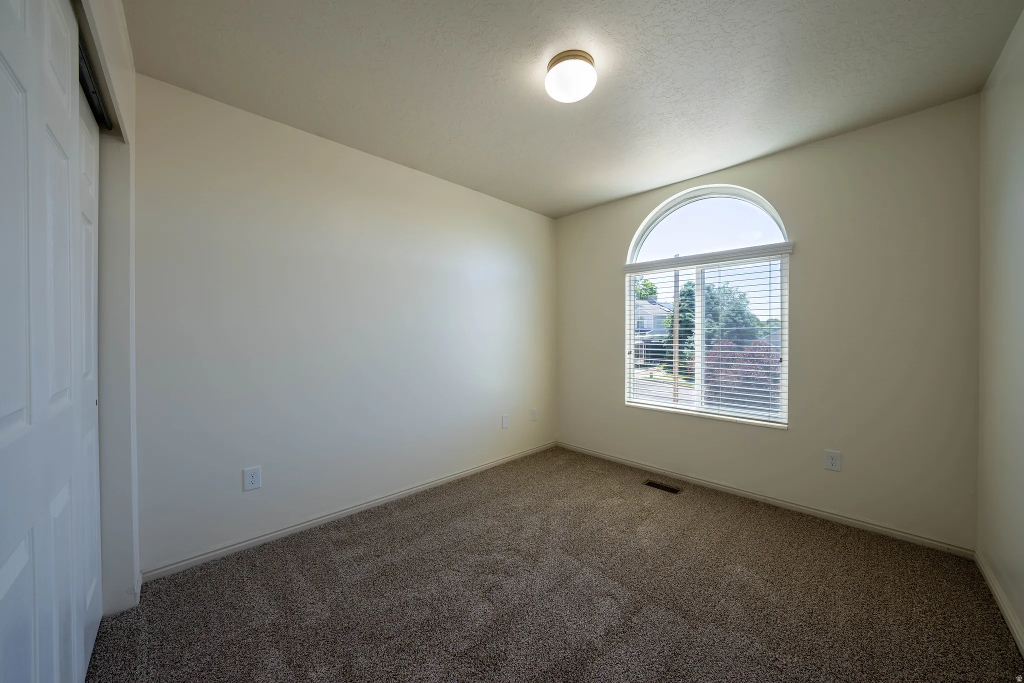 Arch-top window with horizontal blinds, neutral wall paint, and textured carpet