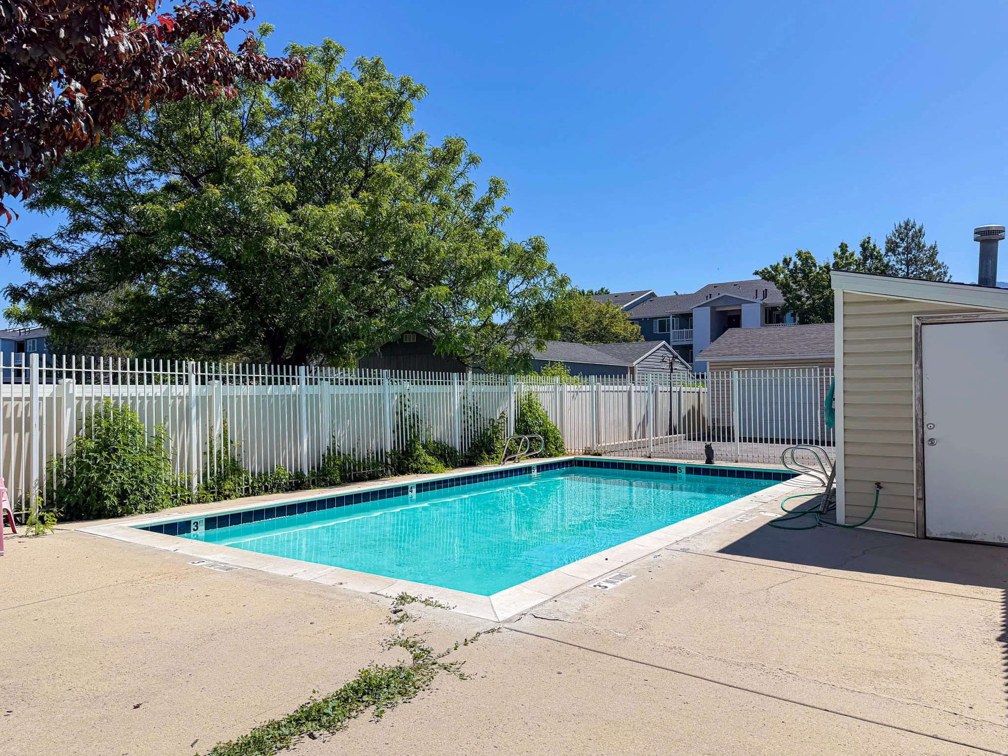 Rectangular swimming pool featuring a white perimeter fence, concrete decking, and an adjacent utility shed with siding