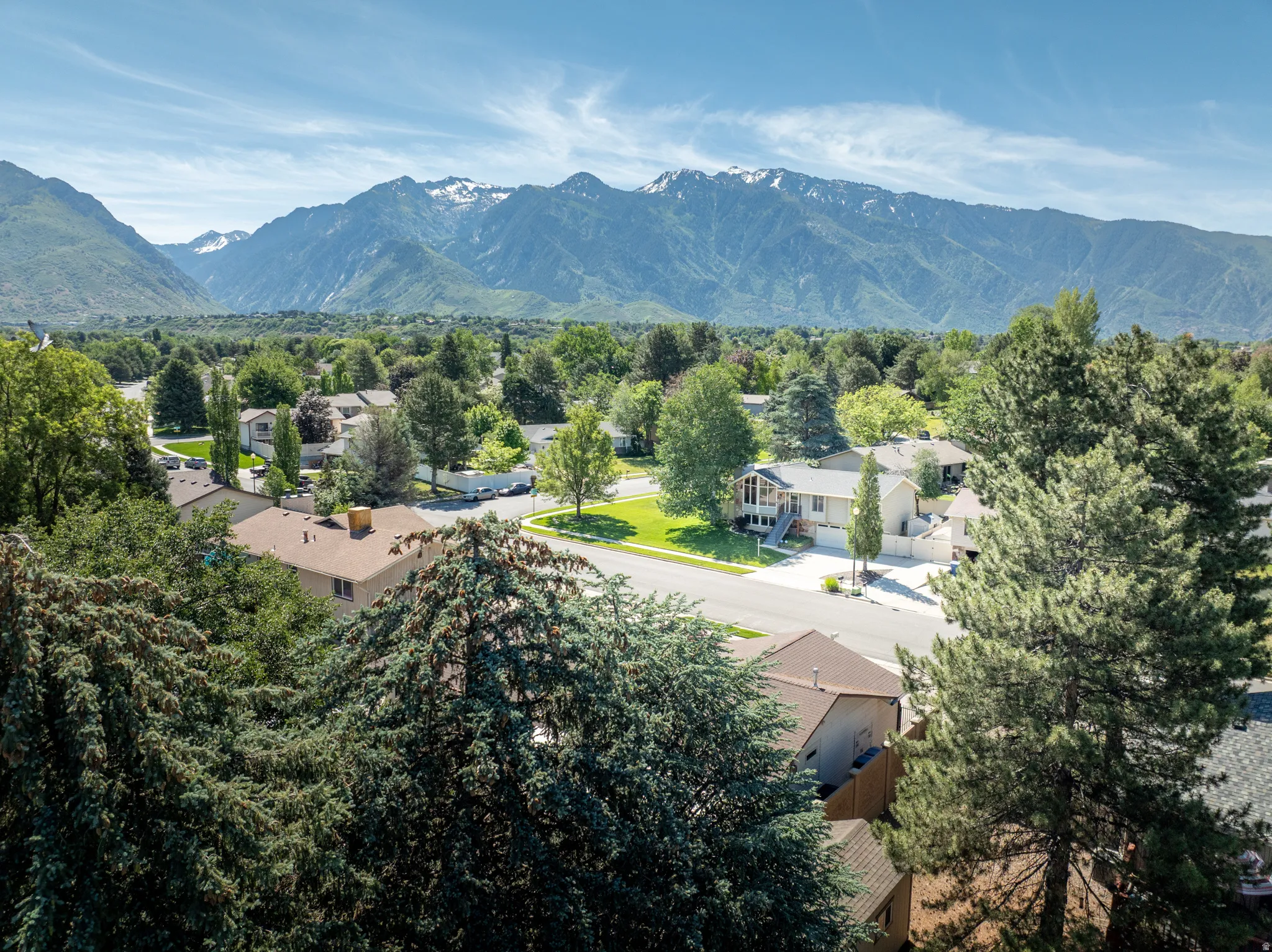 Expansive aerial perspective showcasing a residential area with mature trees and a distant mountain range