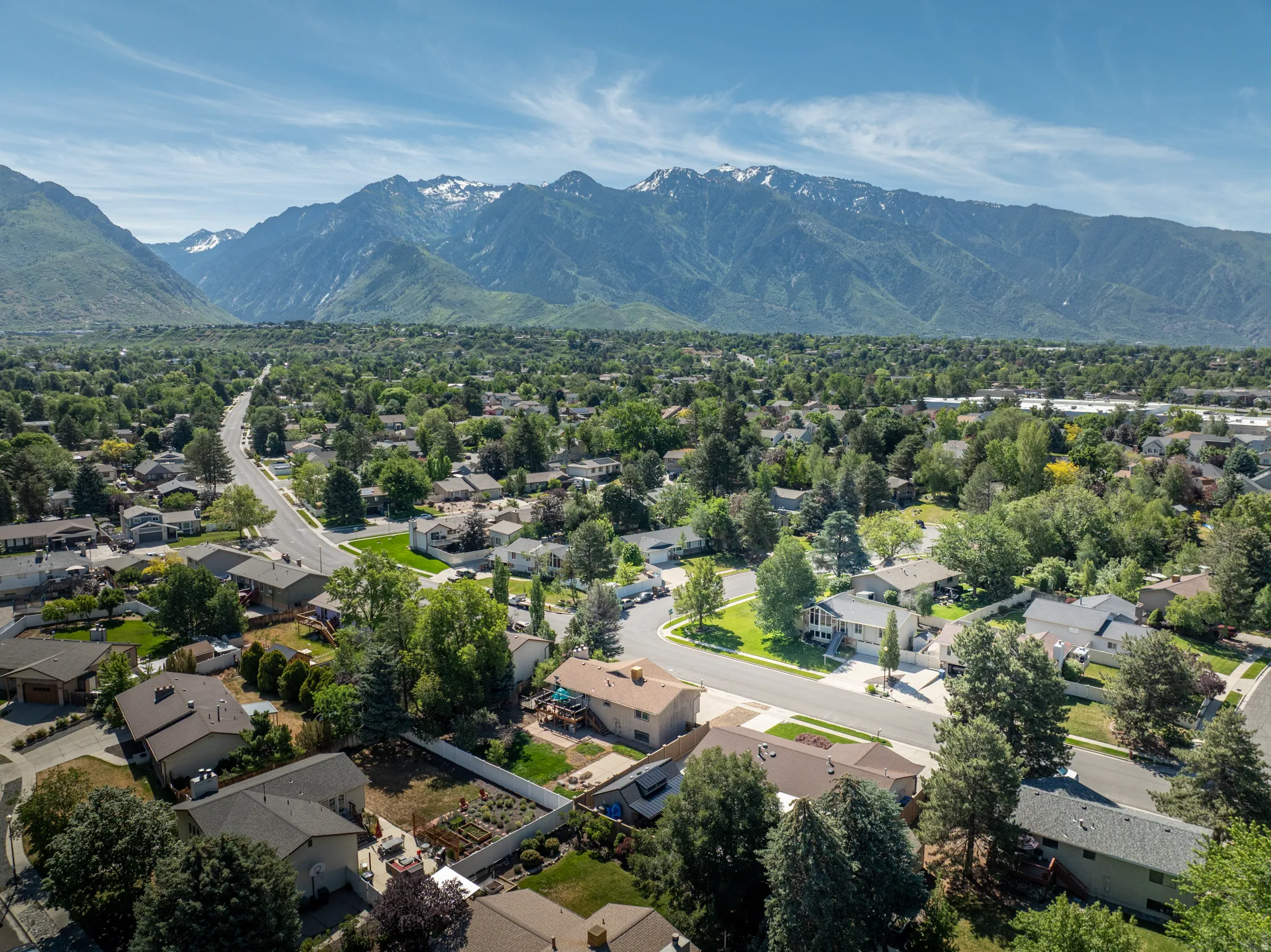 Expansive neighborhood canopy featuring mature trees and established residential properties