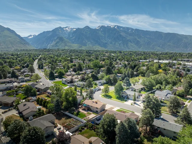 Expansive neighborhood canopy featuring mature trees and established residential properties