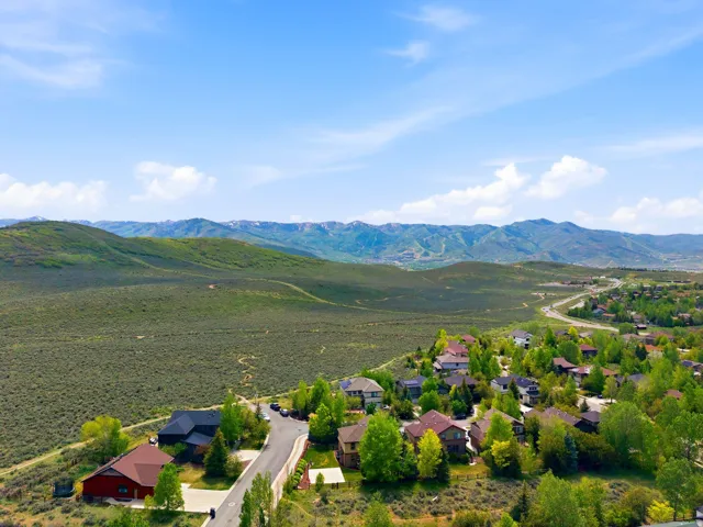 Residential development featuring diverse architectural styles, mature trees, and mountainous terrain