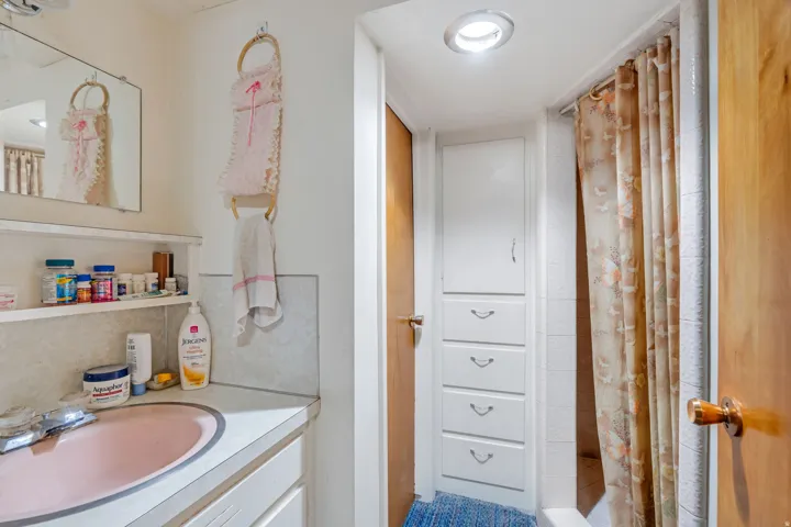 Bathroom featuring a vanity with a pink basin sink, a wall-mounted mirror, and a built-in shelving unit