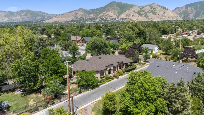 Aerial View Looking East – Gazebo Area is Covered by Trees