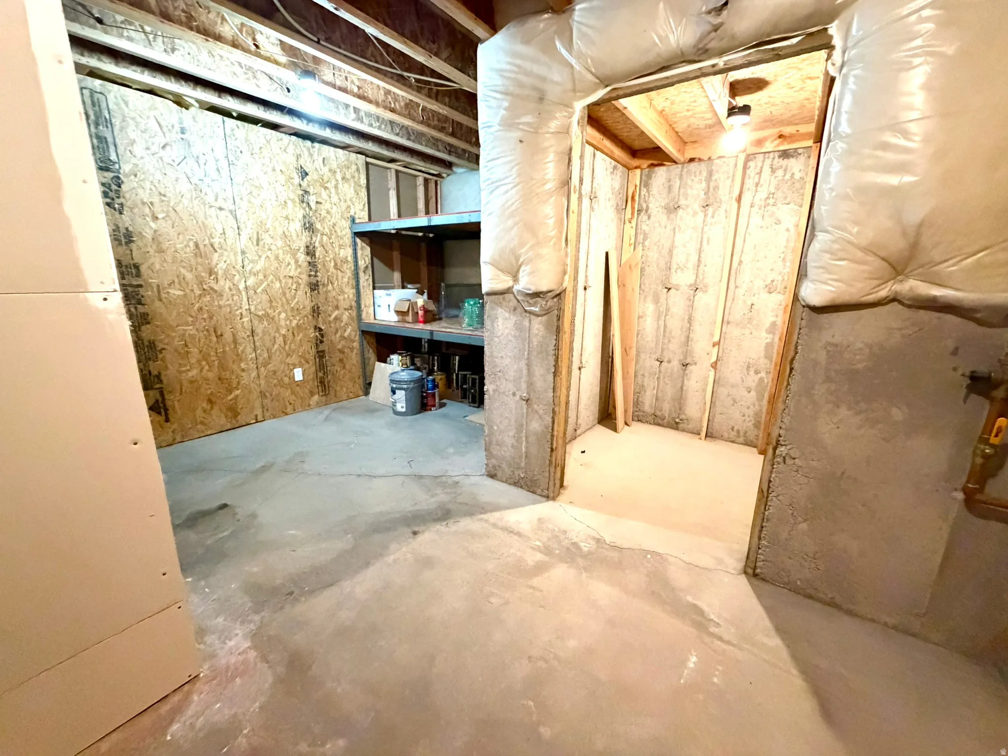 Unfinished basement storage featuring exposed wood framing, concrete flooring, and a storage area with built-in shelving