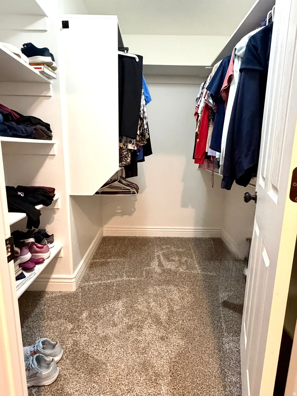 Primary Walk-in closet featuring built-in shelving, hanging rods, baseboard molding, and neutral-toned carpet flooring