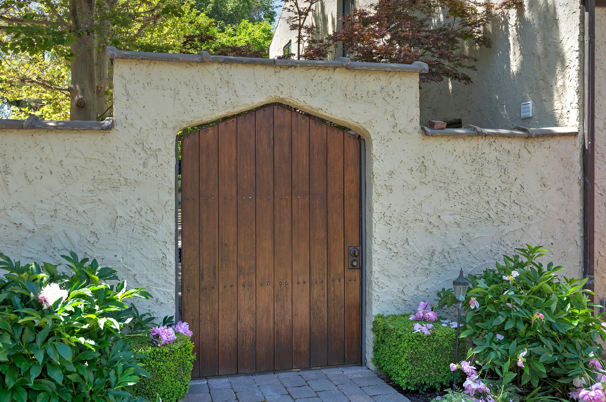 Arch-top wood gate with iron hardware, set within a stucco wall