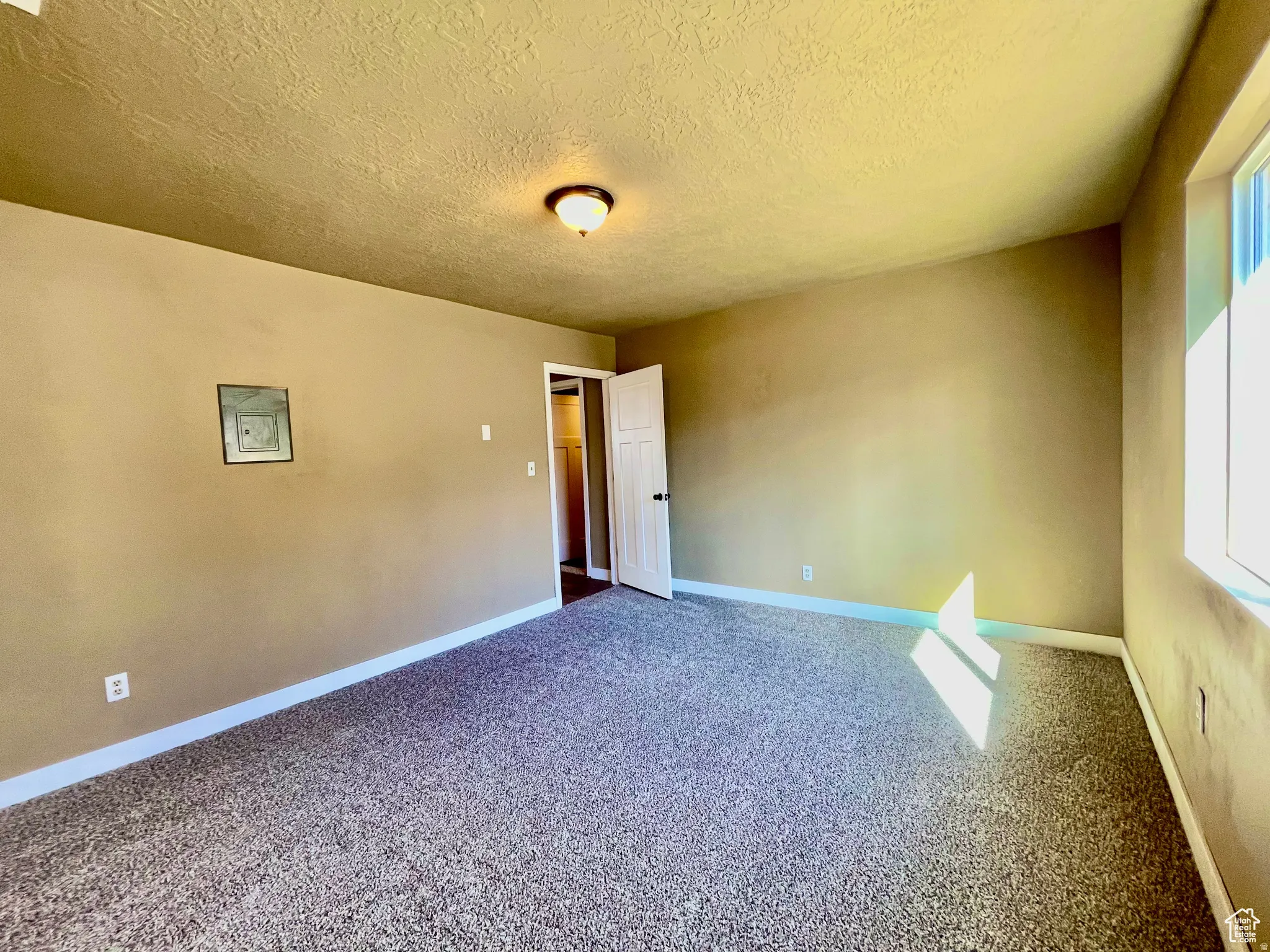 Spacious room featuring textured walls, neutral carpet flooring, a single window, white trim, and a ceiling-mounted light fixture