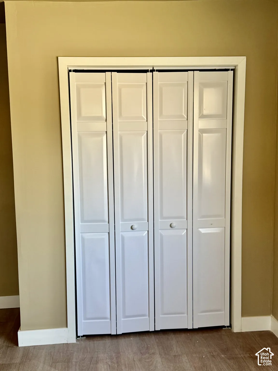 White bi-fold closet doors with panel detailing, set within a white trim frame, complemented by wood-finish flooring