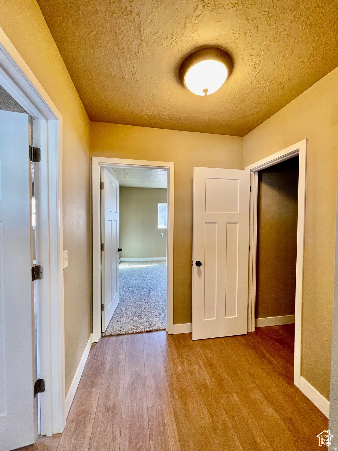 Entryway featuring wood-finish flooring and neutral wall tones