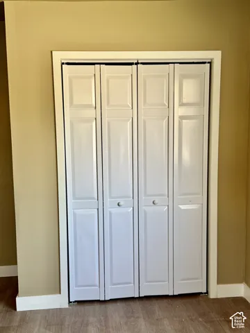 White bi-fold closet doors with panel detailing, set within a white trim frame, complemented by wood-finish flooring