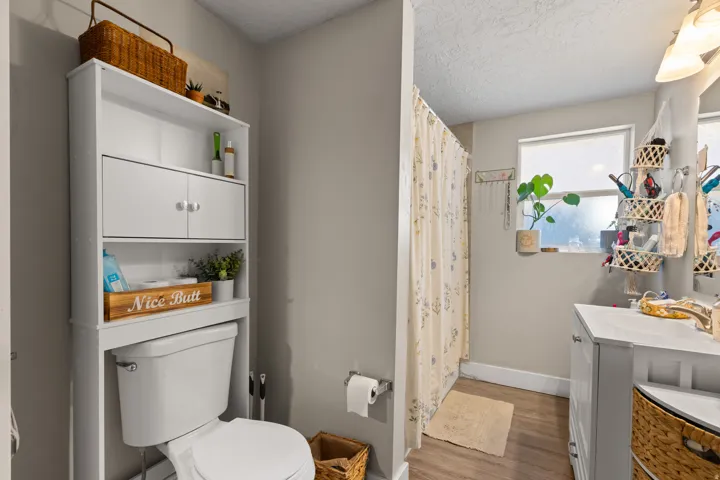 Bathroom featuring wood-finish flooring and a white vanity with an integrated sink