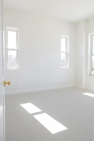 Bright interior room featuring light-toned carpeting and white painted walls