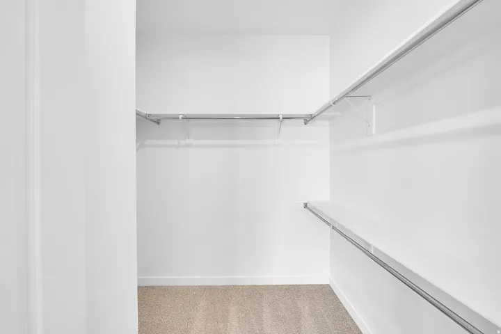 Walk-in closet featuring white walls, white shelving, metal hanging rods, and carpet flooring