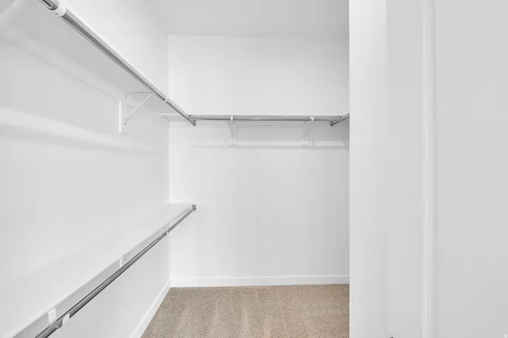 Walk-in closet with carpet flooring, white walls, and built-in shelving and hanging rods
