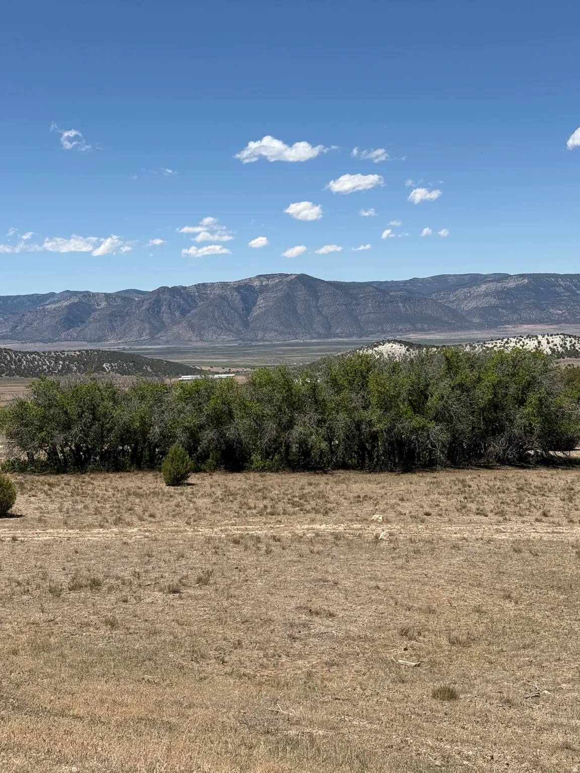 Expansive undeveloped land featuring natural vegetation and a distant mountain range