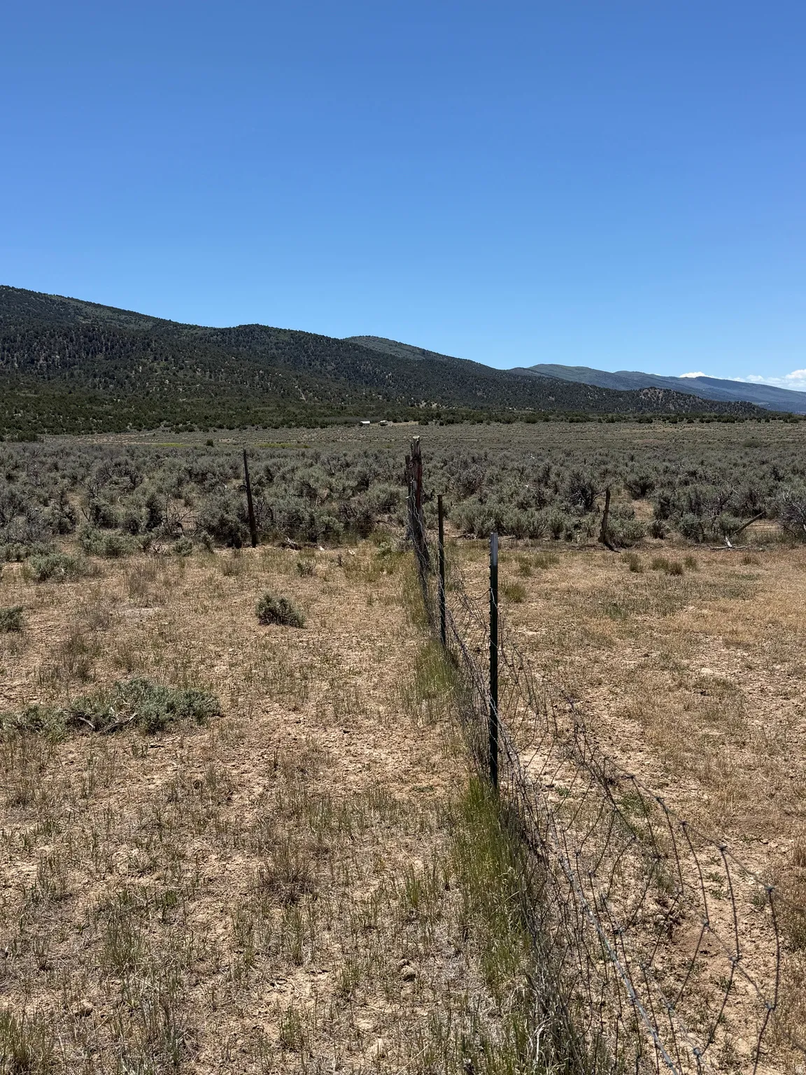 Expansive open land with a clear blue sky overhead