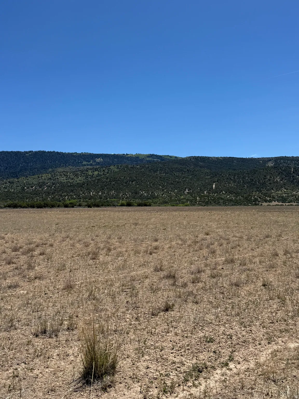 Expansive, undeveloped land featuring a clear blue sky, distant mountainous terrain, and natural, arid ground cover