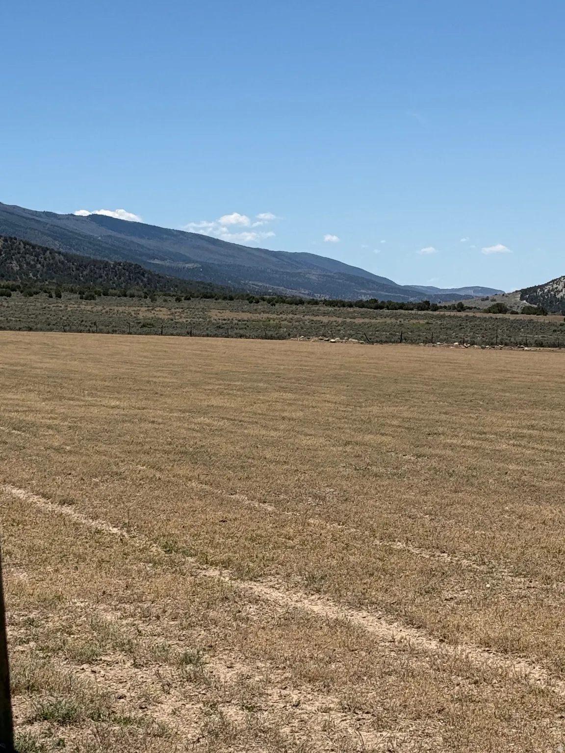 Expansive open land featuring natural grasses and distant mountainous terrain