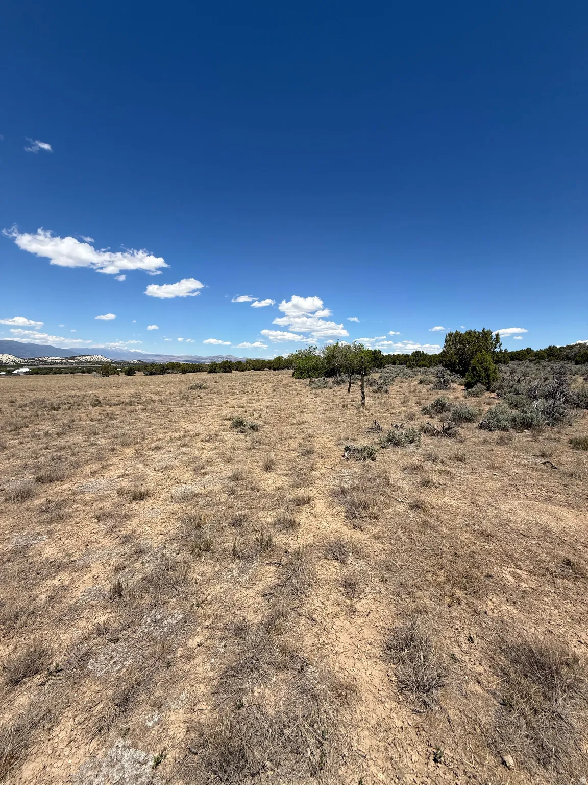 Expansive undeveloped land featuring natural vegetation and distant hills under a clear blue sky