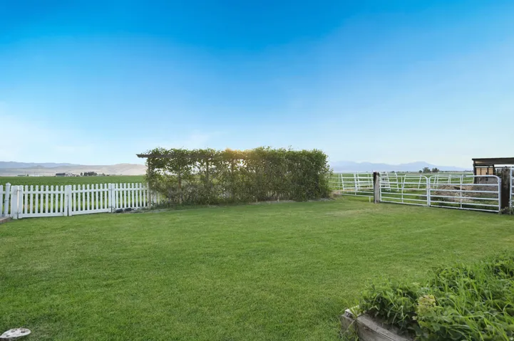 Expansive green lawn with a white picket fence and a mature hedge