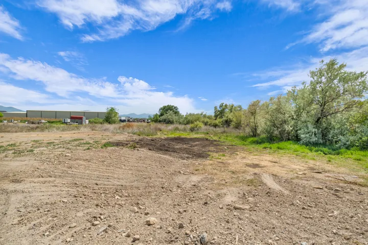 Expansive land parcel featuring cleared ground, natural vegetation, and mature trees along the perimeter