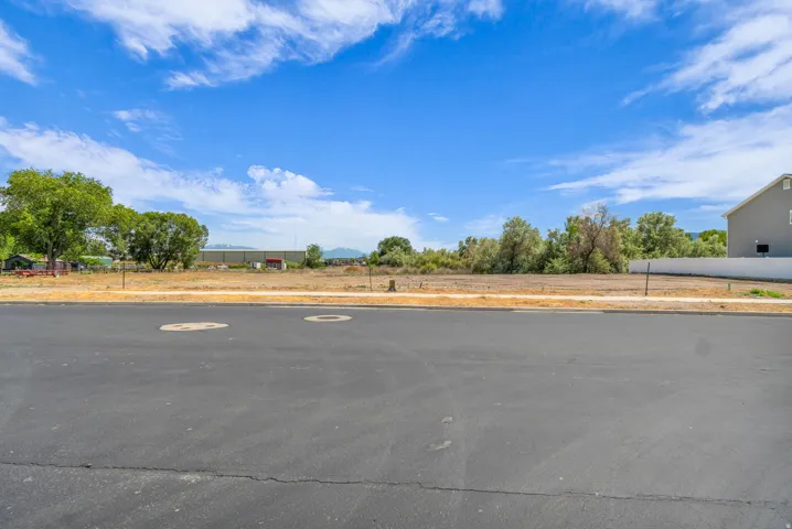 Expansive undeveloped lot featuring a level terrain with established trees, a clear blue sky, and a paved street frontage