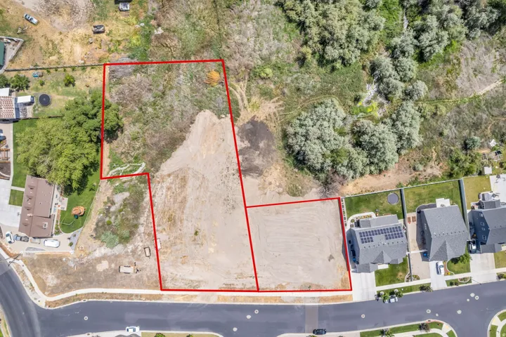 Expansive undeveloped land parcel with marked boundaries