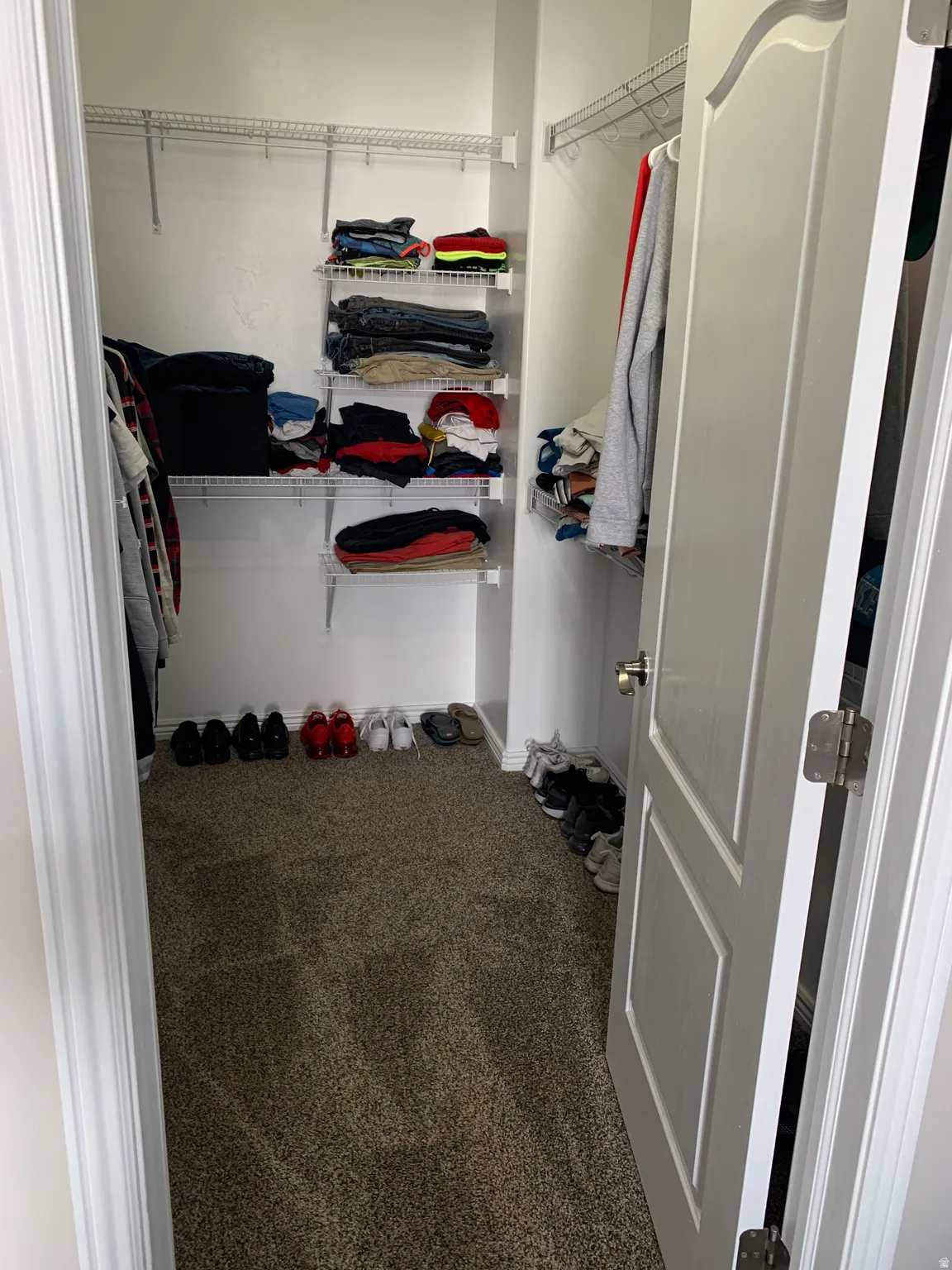 Walk-in closet featuring plush brown carpeting, white paneled door, and extensive wire shelving for storage