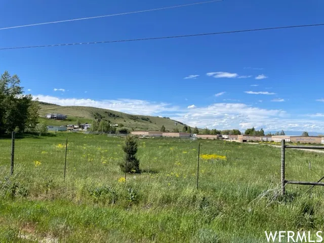 Expansive green field with natural growth and distant rolling hills