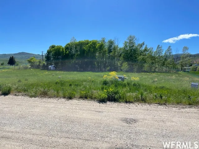 Expansive grassy lot featuring mature trees and a gravel road frontage
