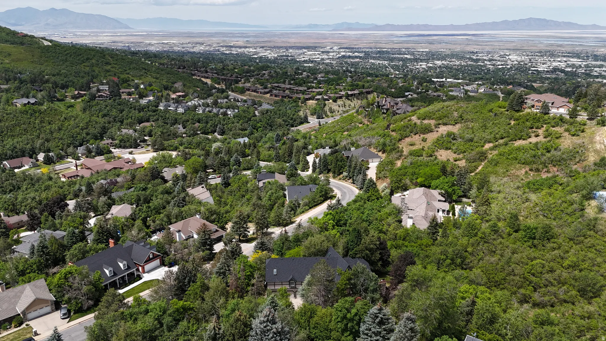 Lush, tree-lined hillside properties with distant urban and mountain scenery