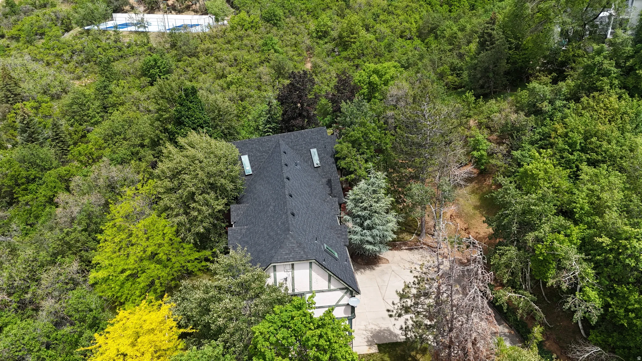 Tudor-style residence with a dark shingle roof and white and green exterior accents, surrounded by mature trees