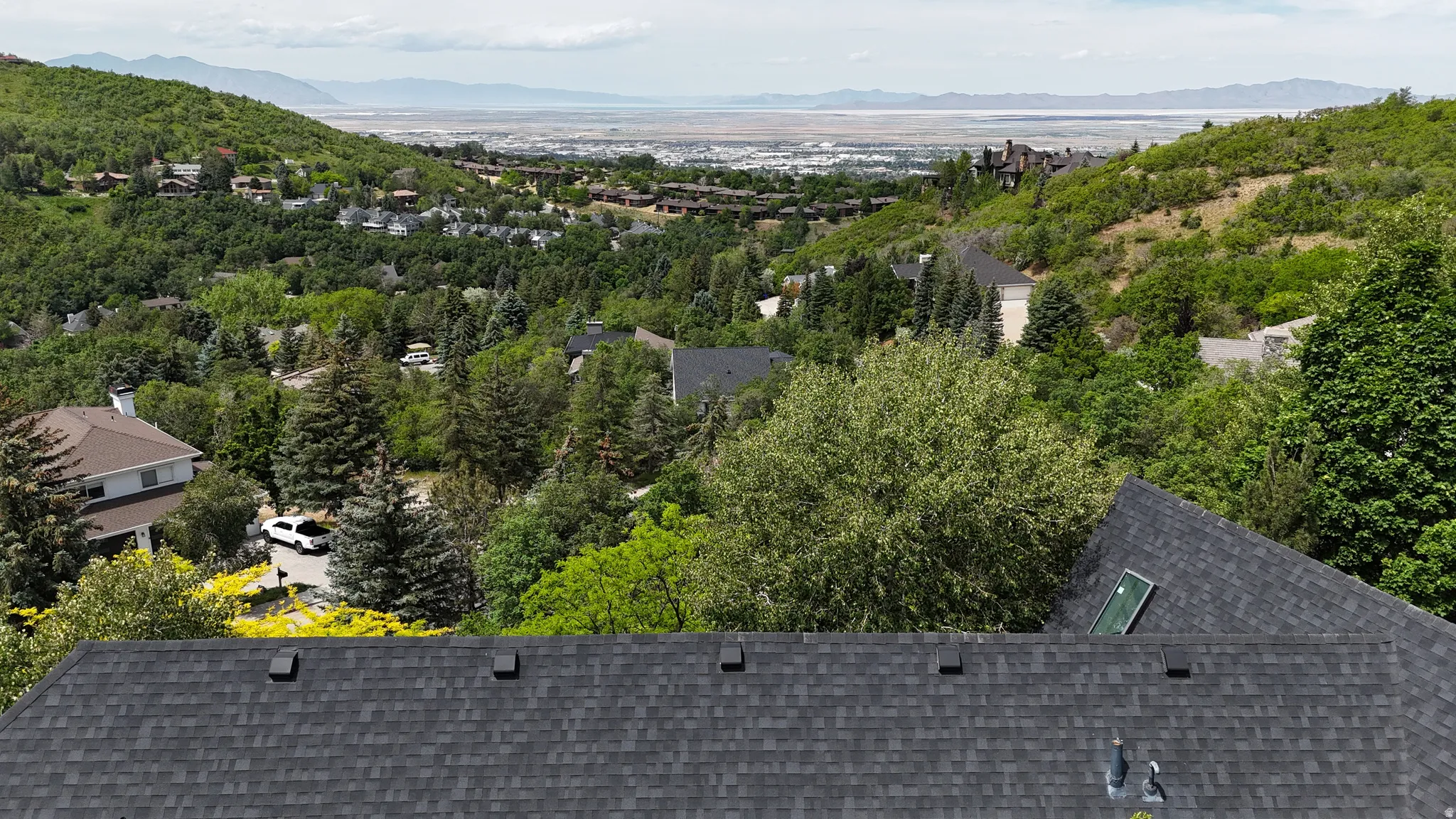 Asphalt shingle roof with skylight and surrounding verdant landscape