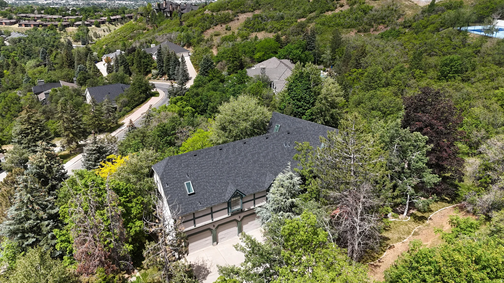 Hillside residence featuring a dark shingle roof, multiple skylights, and a three-car garage