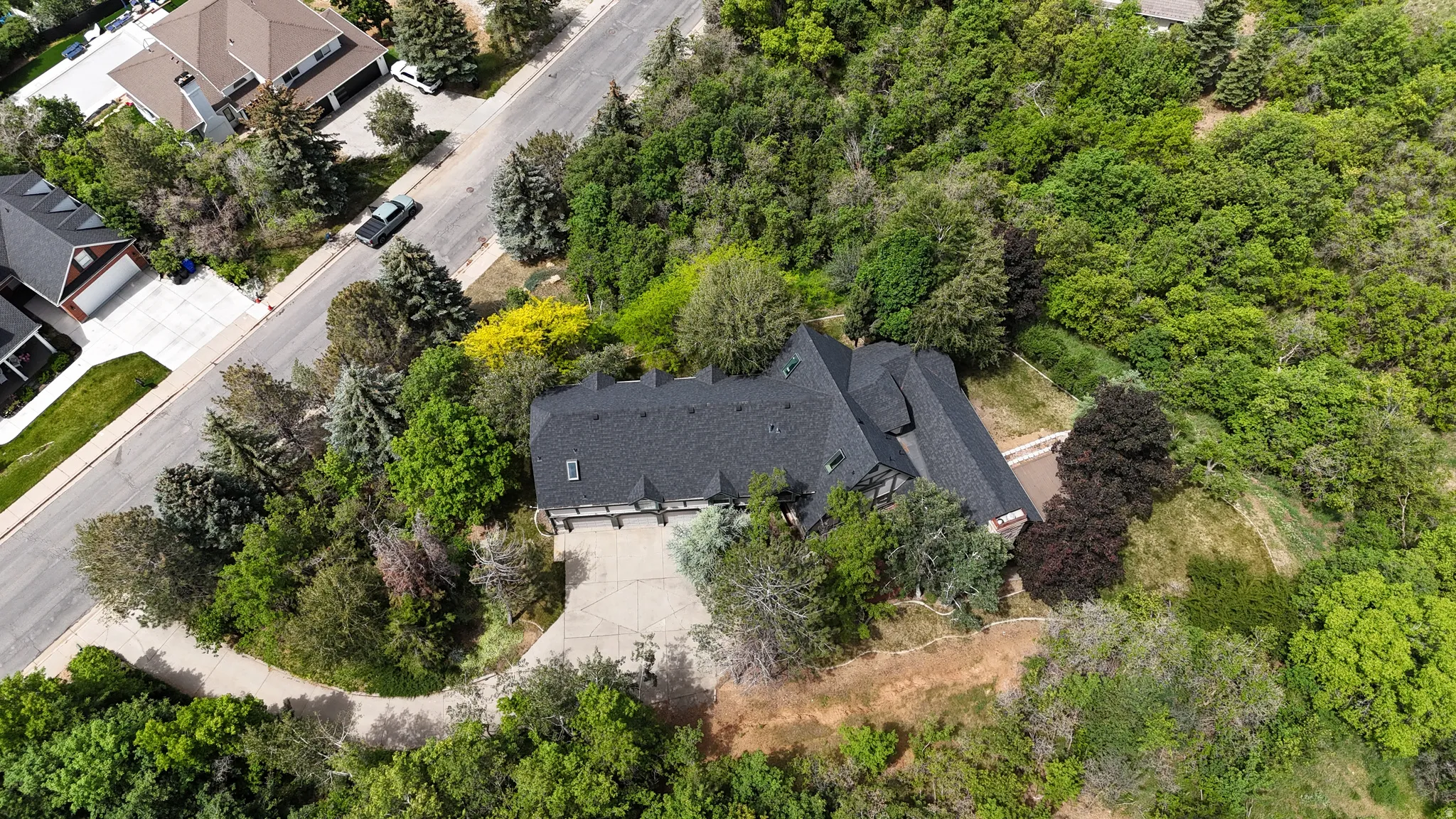 Property featuring a dark shingle roof, extensive surrounding foliage, and a curved paved driveway