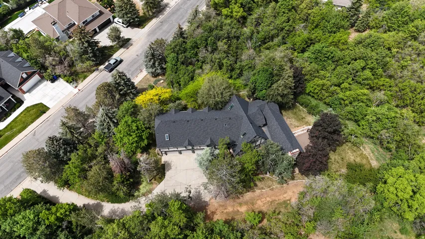 Property featuring a dark shingle roof, extensive surrounding foliage, and a curved paved driveway