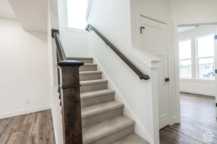 Staircase featuring wood newel posts, wood handrail, and carpeted treads