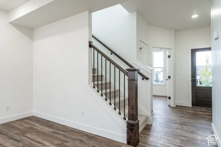 Wood-finish flooring, staircase with dark wood newel post and handrail, carpeted stair treads, and bright white walls