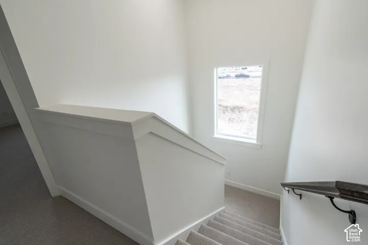 Carpeted staircase with a window, white wall finishes, and a dark wood-finish handrail