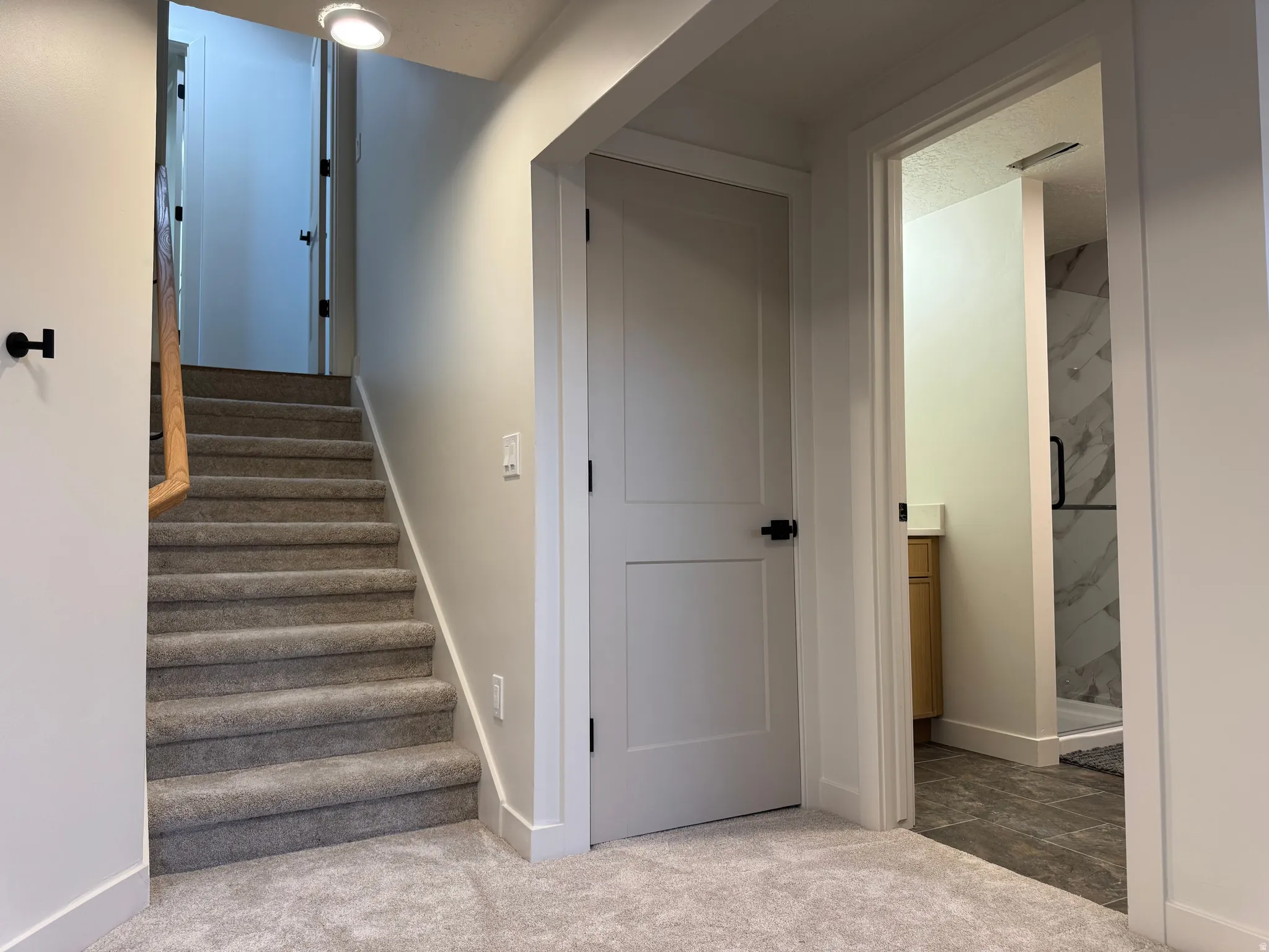 Carpeted staircase with light wood handrail