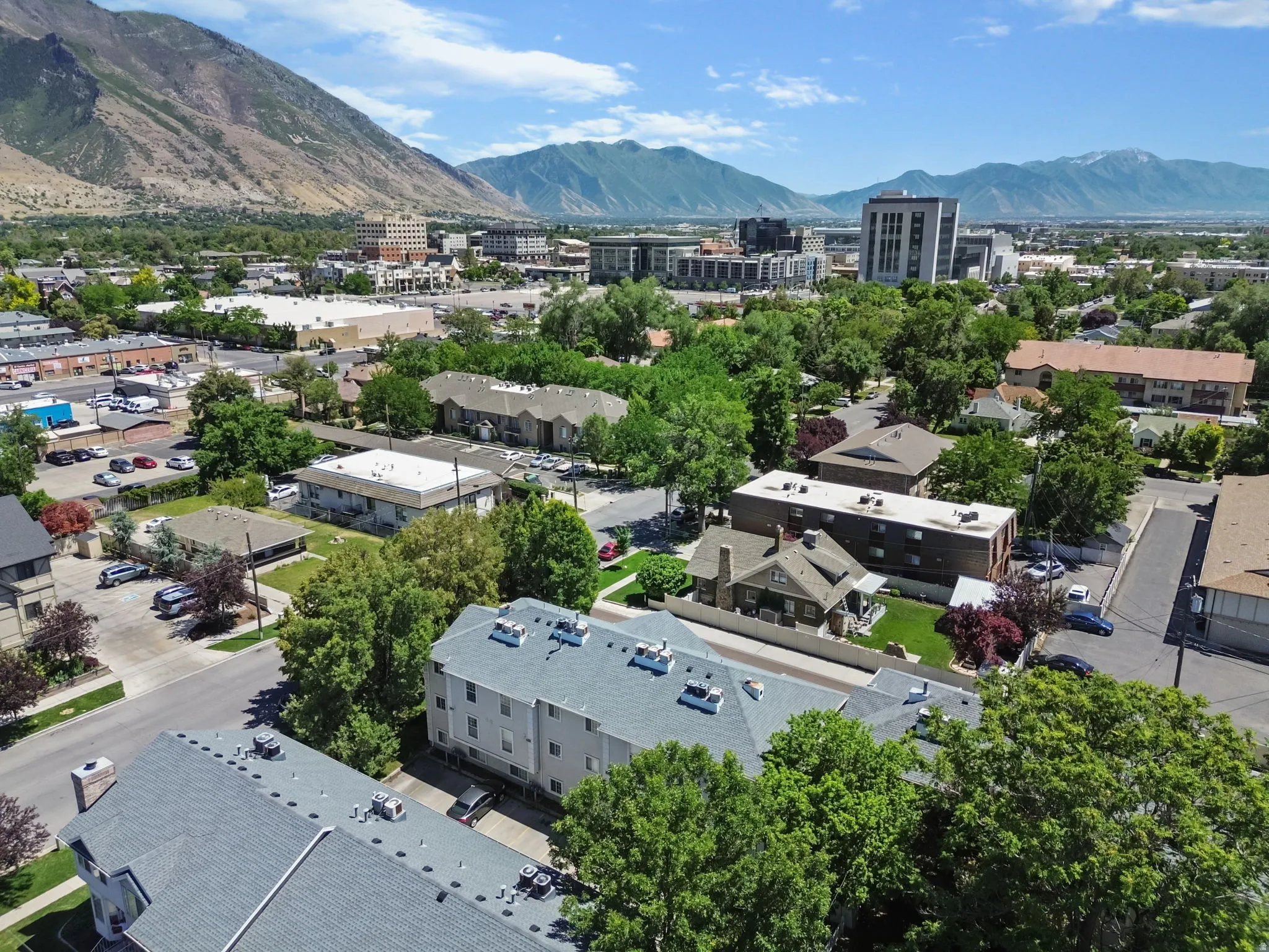 Aerial perspective showcasing a residential area with mature trees and paved streets