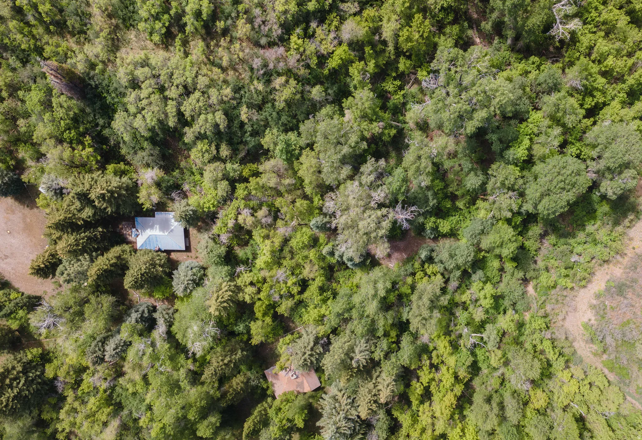 Aerial perspective of a property enveloped by dense, mature trees