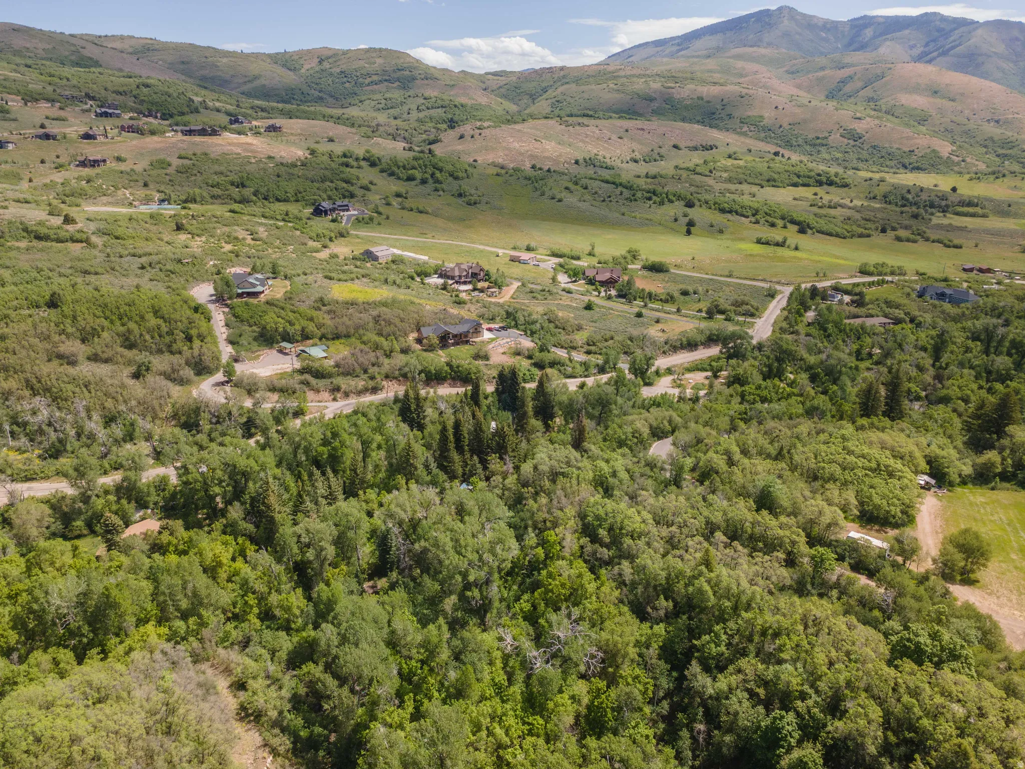 Expansive natural landscape with varied terrain and established trees